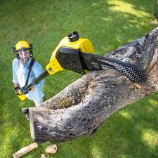 Lawn Maintenance Plans in Hidden Springs, ID